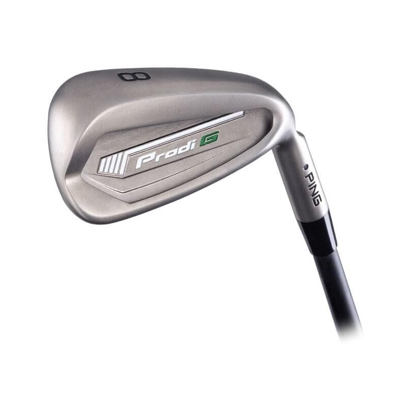 Ping | Série de Fers 6-9-PW Prodi G