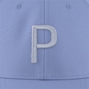 Puma | Casquette Structured P Cap Evening Sky, Gris
