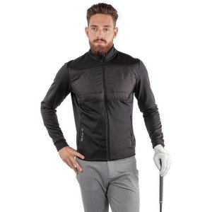 Galvin Green | Pull Dylan