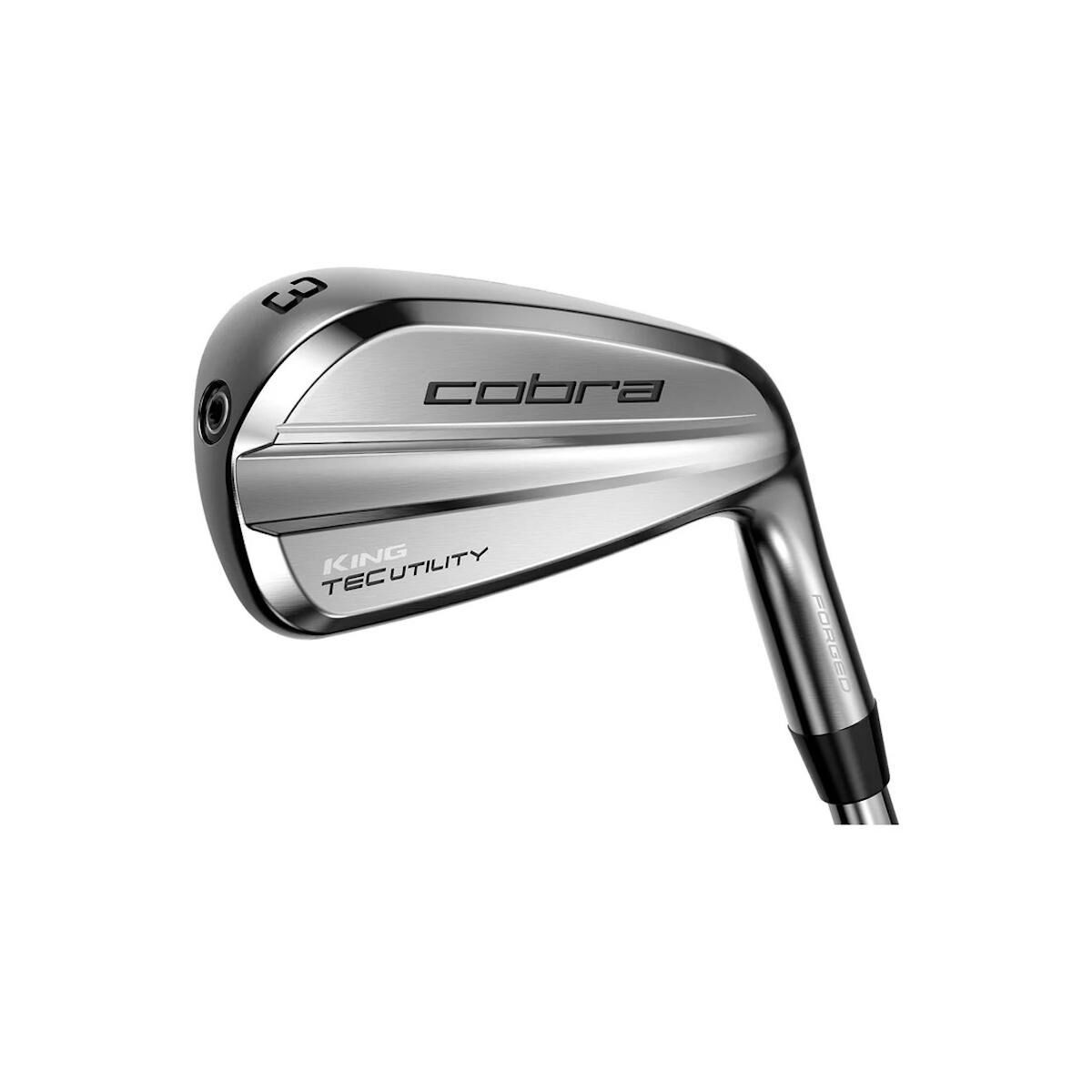 Fer 6 King Cobra FP – Manche Acier Flex Régulier – Droitier – Taille 37 Pouces – Occasion