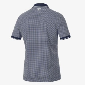 Galvin Green | Polo Miller
