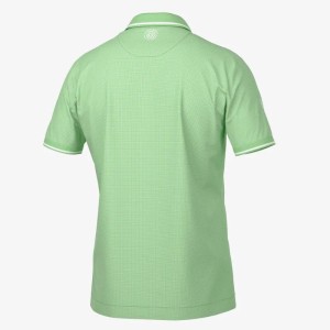 Galvin Green | Polo Miller