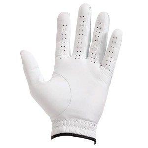 Ping | Gant Tour 251