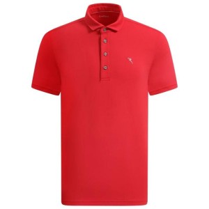 Chervo | Polo Adepto