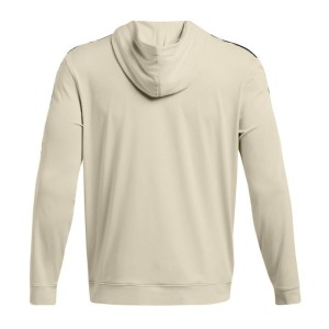 Under Armour | Pullover Playoff Hoodie