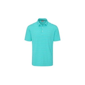 Ping | Polo Owain