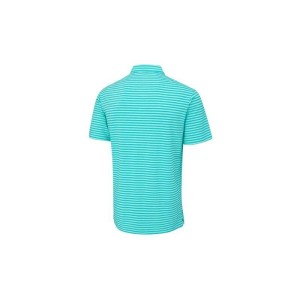 Ping | Polo Owain