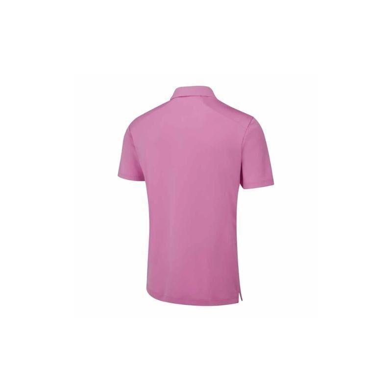 Ping | Polo Lindum