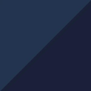 Puma | Polo Puma X PTC Hero