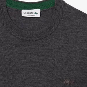 Lacoste | Pullover en laine mérinos