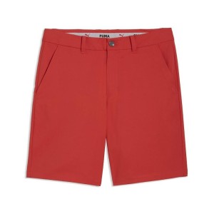 Puma | Short 101 Pure 8"