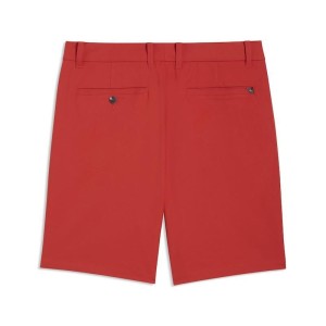 Puma | Short 101 Pure 8"