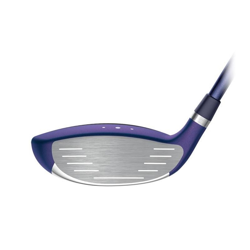 Ping | Bois de parcours G LE 4