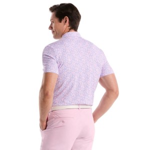 Penguin | Polo Color Theory Gingham