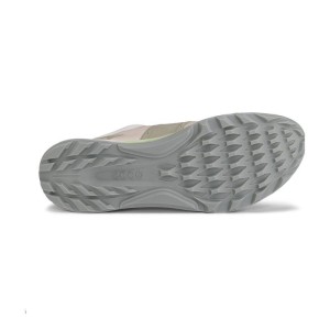 Ecco | Chaussures BIOM C4 Femme