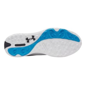 Under Armour | Chaussures de golf Drive Fade 2 SL