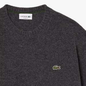 Lacoste | Pullover en Laine Col Rond