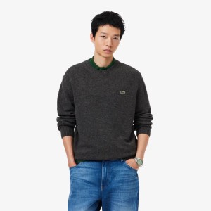 Lacoste | Pullover en Laine Col Rond