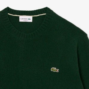 Lacoste | Pullover en Laine Col Rond