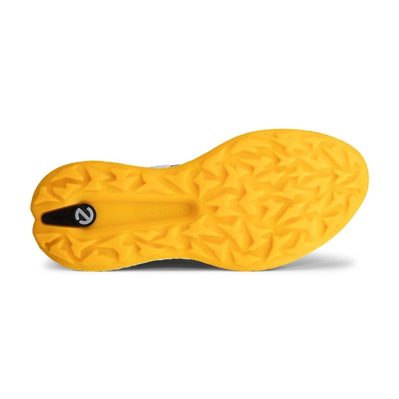 Ecco | Chaussures Biom H5