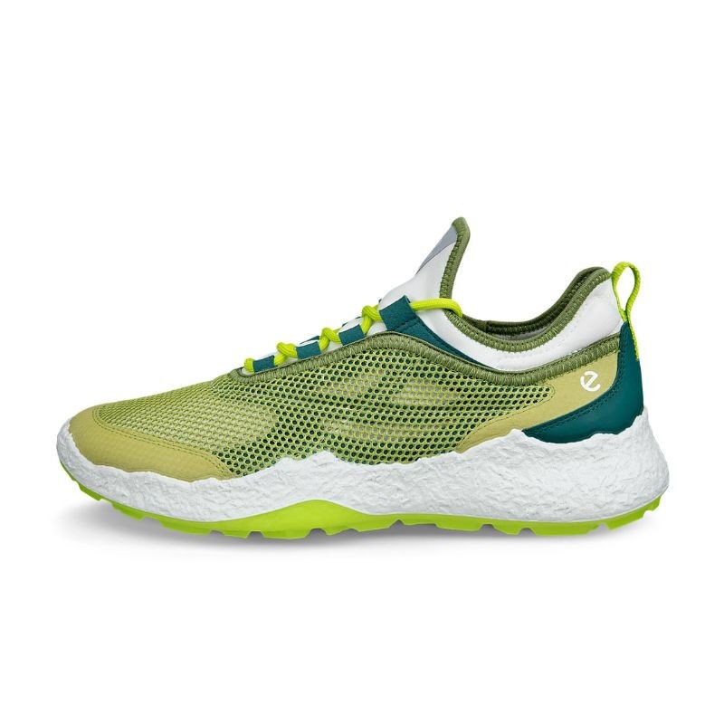 Ecco | Chaussures Biom H5