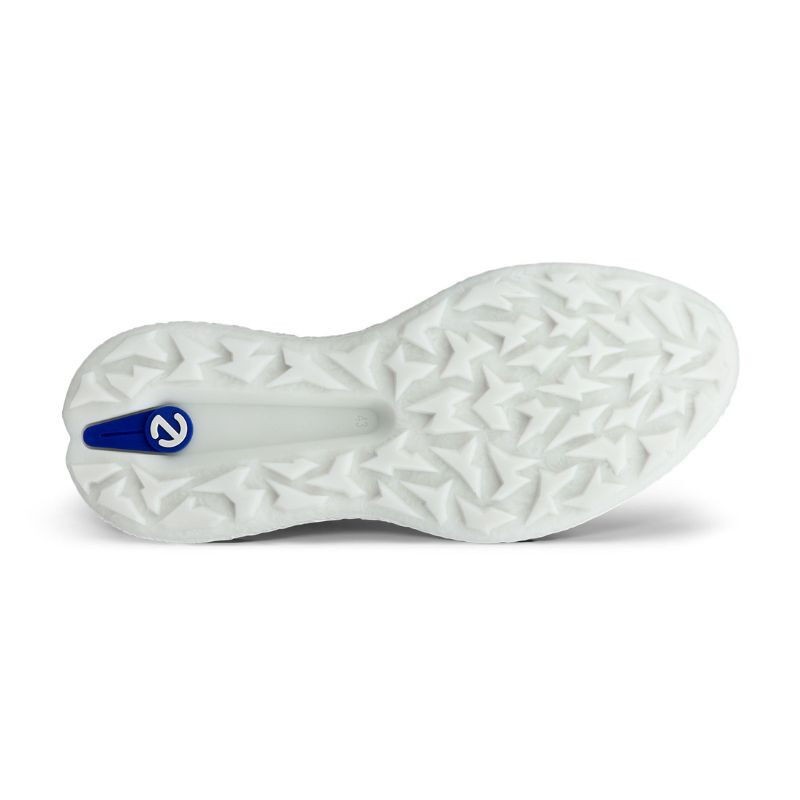 Ecco | Chaussures Biom H5