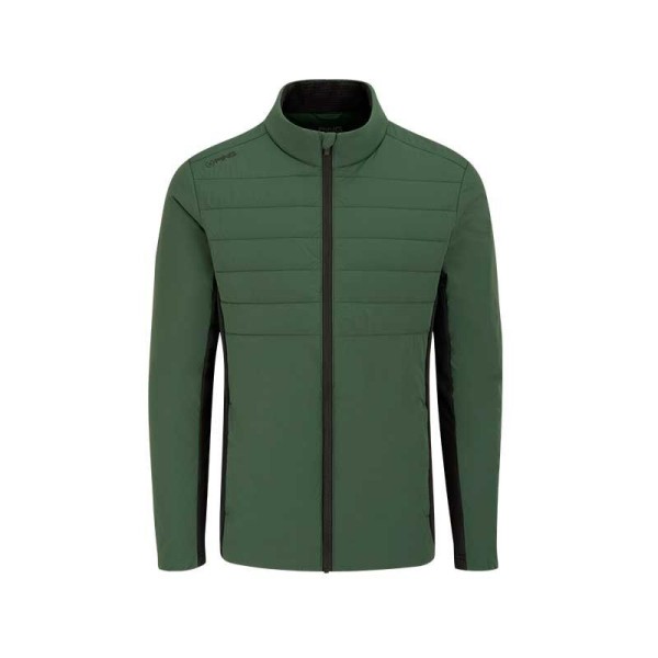 Ping | Veste Cassian