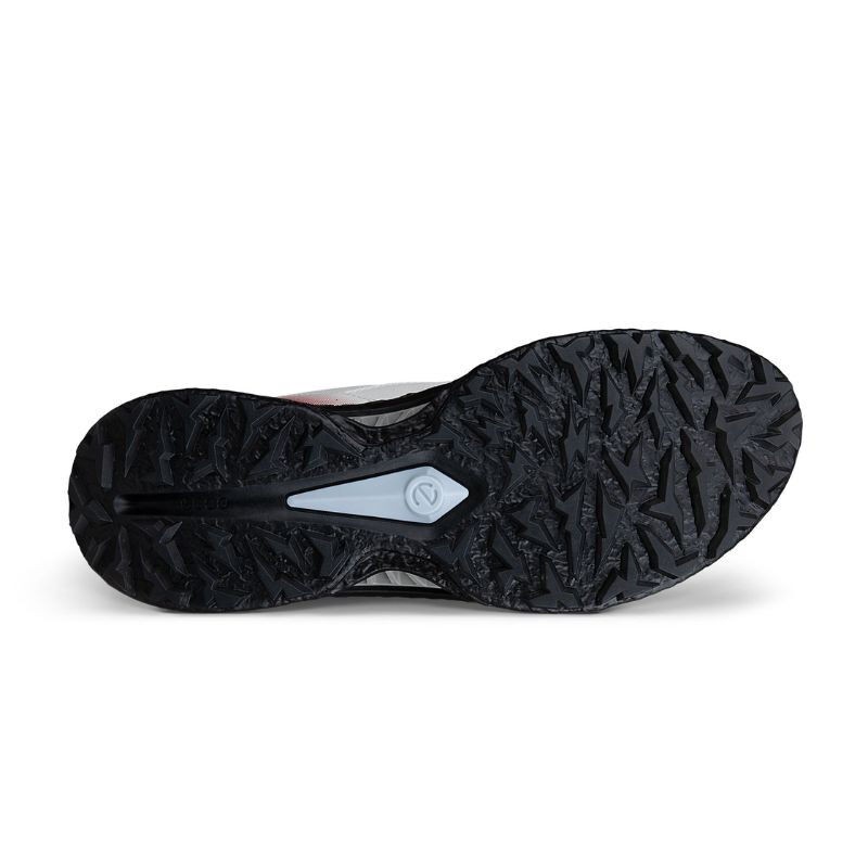 Ecco | Chaussures Golf Biom C5