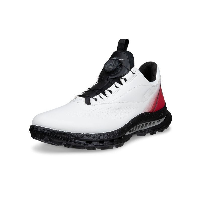 Ecco | Chaussures Golf Biom C5