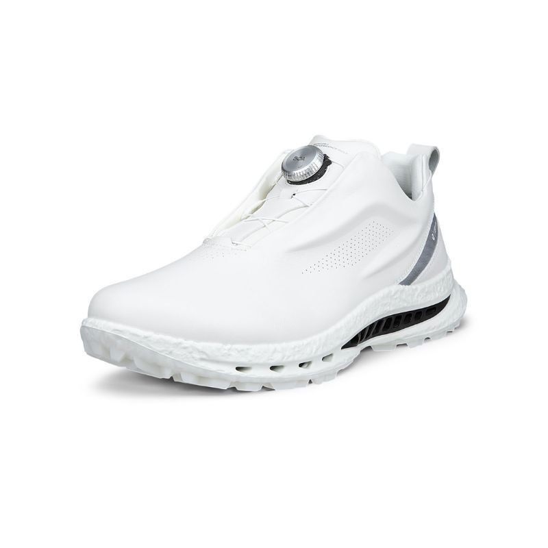 Chaussures ECCO Golf Biom C5 BOA