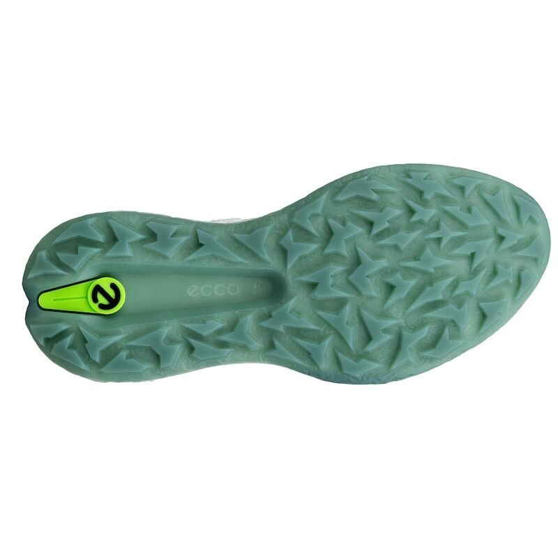 Ecco | Chaussures de golf Golf Biom H5 BOA Blanc