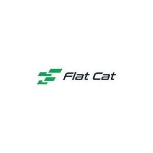 Flat Cat